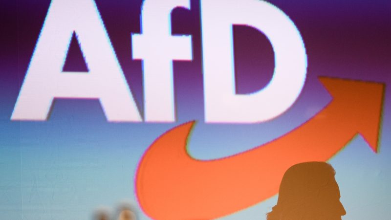 Auge-de-las-fuerzas-populistas-y-de-ultraderecha-de-cara-a-las-europeas-de-junio