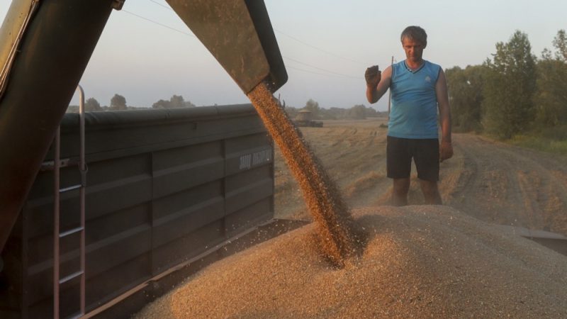 Crece-la-tension-entre-Alemania-y-Polonia-por-la-guerra-del-grano