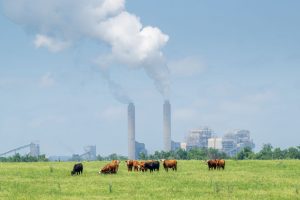 España reduce sus emisiones de efecto invernadero más de un 32% en 16 años