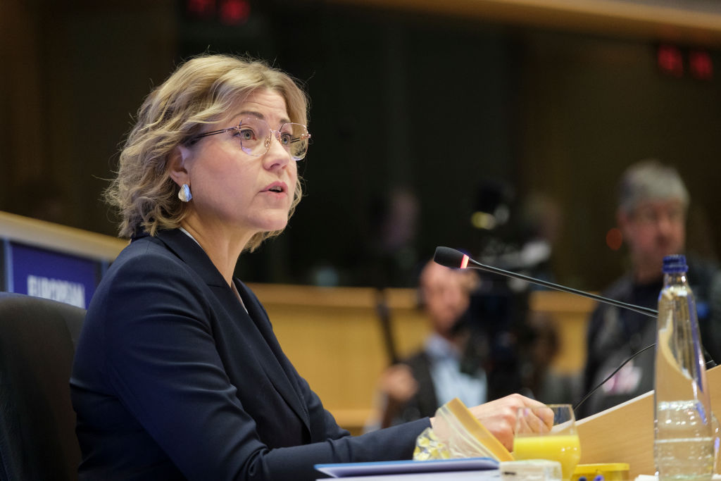Una docena de países de la UE instan a Bruselas a redoblar el combate contra las injerencias electorales