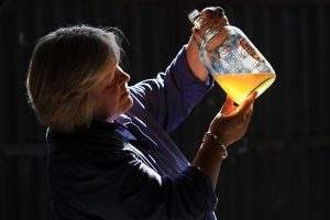 La definición de sidra, "manzana de la discordia" para los países nórdicos