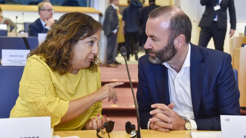 La-cooperacion-entre-socialistas-y-populares-europeos-en-la-cuerda-floja