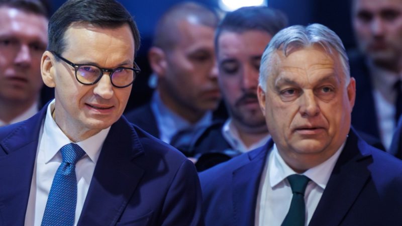 Los-conservadores-polacos-del-PiS-se-alejan-de-Orban