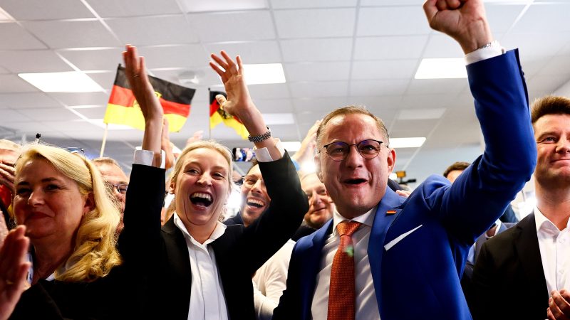 Nuevas-perspectivas-para-la-AfD-en-la-plataforma-ultra-de-Orban