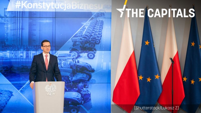 Polonia-apuesta-por-una-comunidad-economica-con-Ucrania-y-Rumania