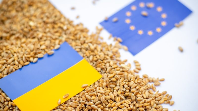 Polonia-y-Ucrania-se-enzarzan-en-una-espiral-de-represalias-por-la-importacion-de-grano