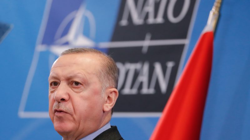 Presion-a-la-extrema-derecha-sueca-para-que-ceda-a-las-exigencias-de-Erdogan