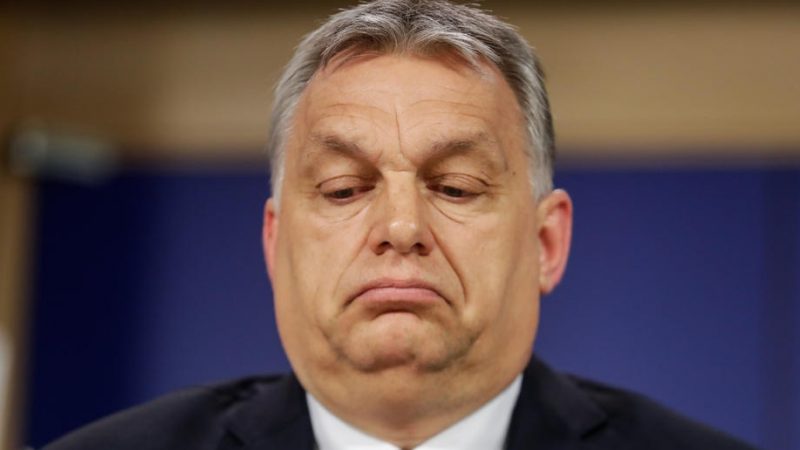 Renovar-Europa-alerta-de-la-Orbanizacion-de-la-derecha-en-la-UE