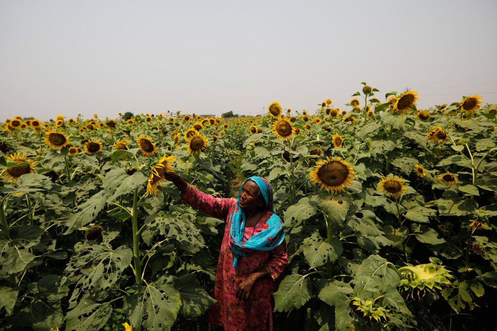 La agricultura, gran escollo para un acuerdo comercial entre la UE y la India