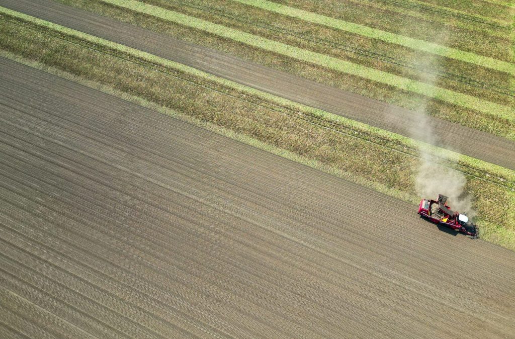 La persistente sequía hace peligrar las cosechas de primavera en Alemania y Europa central.