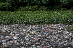 ONG denuncian ante el Defensor del Pueblo Europeo el debilitamiento de las normas de sostenibilidad de la UE