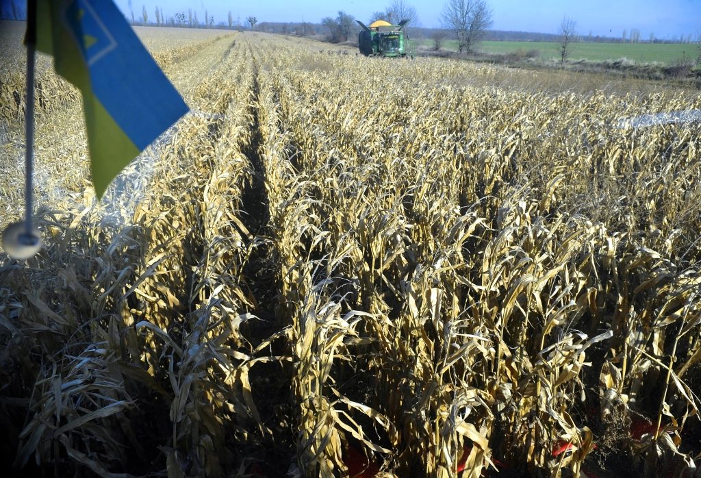 Campo de trigo en la región de Vinnitsia, Ucrania, en 2022.
