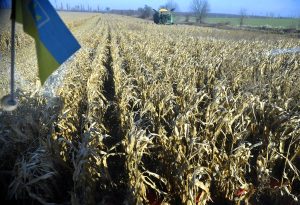 La UE aprueba recuperar los aranceles previos a la guerra de Ucrania a las importaciones agrícolas de Kiev