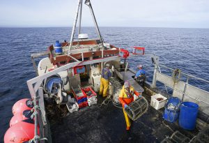 Bruselas estudia un polémico plan para frenar las emisiones de CO2 de la pesca