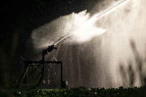 La UE premiará a los agricultores que reduzcan el consumo de agua