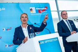 La AfD reclama su cuota de poder en el Bundestag