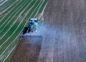 Alarma en Francia por la presencia de metales pesados en el pan y la pasta