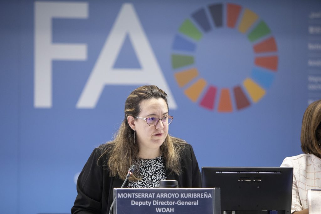 Montserrat Arroyo Kuribrena, interviene en una reunión en Roma, el 4 de noviembre de 2022.