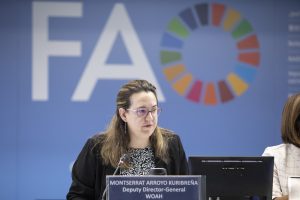 La coordinación, clave contra el aumento de las enfermedades del ganado en Europa, según experta