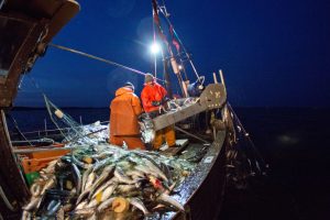La pesca, uno de los grandes retos de la presidencia danesa del Consejo de la UE