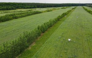 Bruselas presenta un controvertido plan de "créditos de protección de la naturaleza"