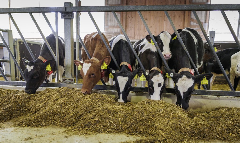 Nuevo choque comercial entre la UE y China por un componente agrícola