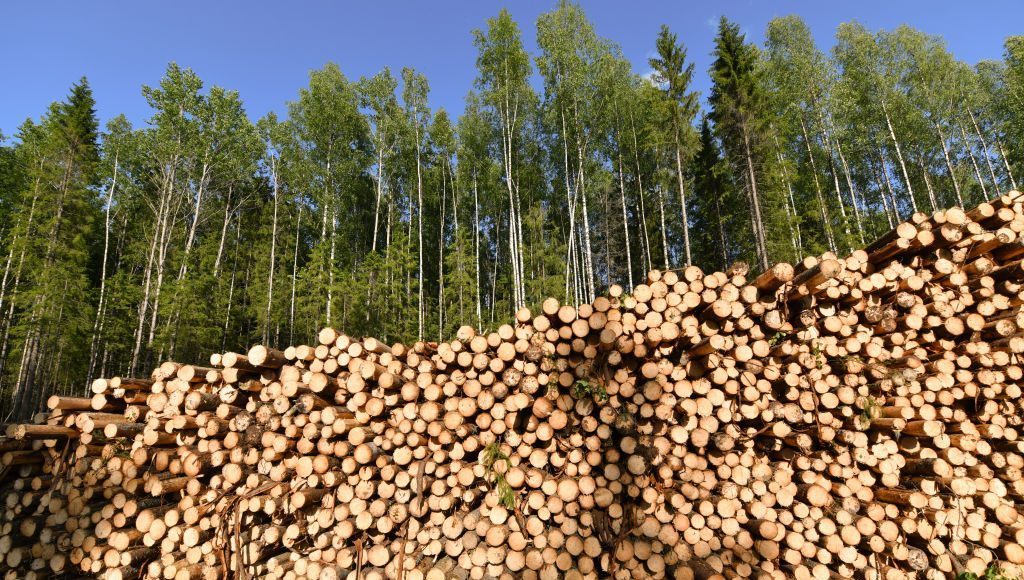 Madera rusa logra burlar las medidas de la UE.