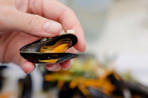 Del mar a la mesa de los europeos: mejillones en un peligroso "mar de nanoplásticos"