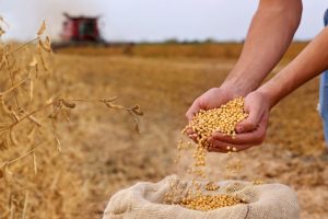 Los agricultores de la UE se vuelcan con la tecnología para cumplir los estrictos objetivos de sostenibilidad de Bruselas