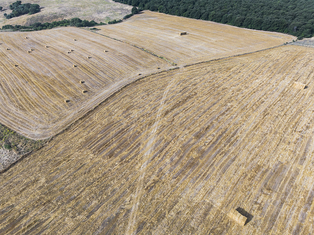 Imagen de un campo en el Lazio, Italia, en una imagen de archivo.