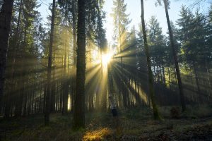 La UE se aleja aún más de sus objetivos medioambientales para 2030