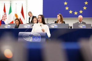 Vox celebra que el Parlamento Europeo remita el acuerdo UE-Mercosur al TJUE porque es un acuerdo “letal” para el campo