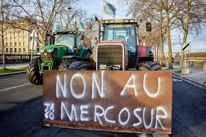El Parlamento Europeo se pronunciará la próxima semana sobre un recurso judicial que podría frenar el pacto UE-Mercosur