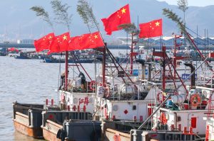 Piden a la UE que plante cara a China por su «voraz» pesca de calamar