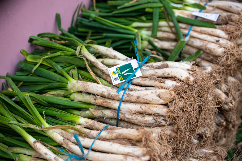 Europa está ganando la «guerra del terruño», y Australia acaba de dar un giro radical