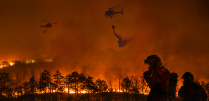 Los incendios de 2025, los más costosos pese a sumar la segunda menor superficie quemada desde 2002