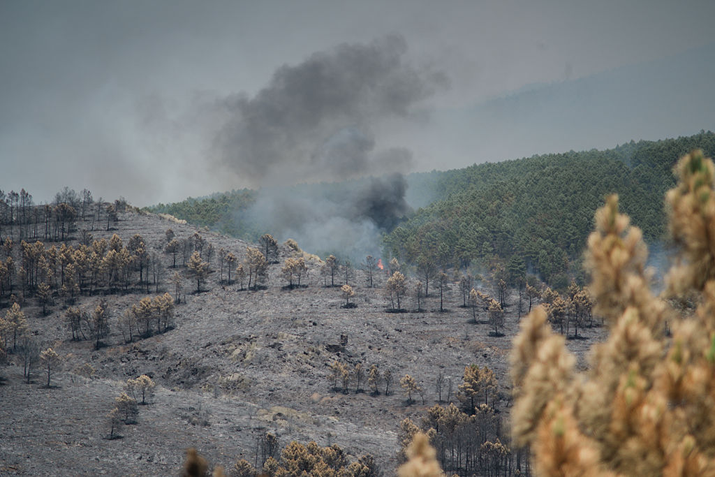 Los incendios forestales arrasan miles de hectáreas en España