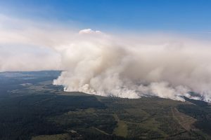 La lluvia ofrece un respiro mientras Bélgica lucha contra un enorme incendio forestal