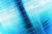 CD_Spindle_sxc_nionx.jpg