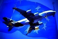 Plane_EUFlag.jpg