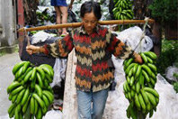 banana_worker_01.jpg