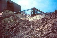 biomass_pic_USDA_Forest.jpg