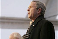 bush3.jpg