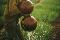 global_food_security_05.jpg