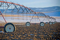 global_food_security_10.jpg