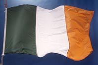Pacte budgétaire : l'Irlande s'expose à des poursuites