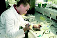 laboratory.jpg