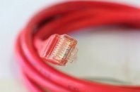 network_red_mf_kahle.jpg