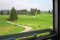 train_window_cows.jpg