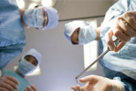 transplantation_02.jpg